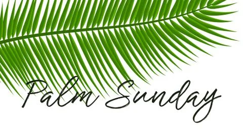 Green Palm leafs vector icon. Vector illustration for the Christian holiday P Stock Illustration