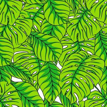 Green palm leaves Ilustración de archivo