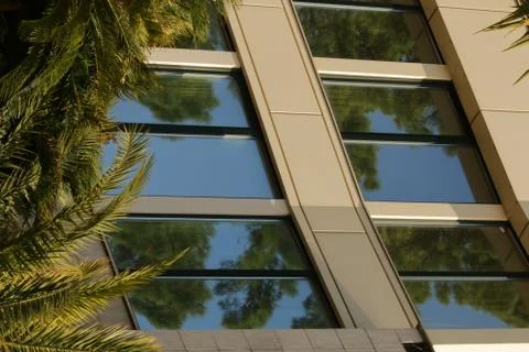 Green palm tree background and modern building Stock Photos