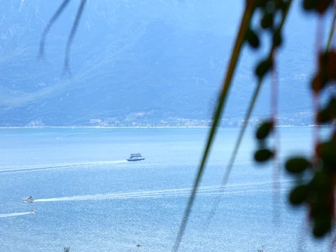 Green palm trees hanging on tree, Garda lake in background 2 Stock Footage 78195995