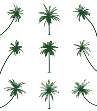 Green palm trees Stock Illustration