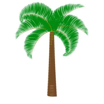 Green palm on a white background. Illustrazione stock
