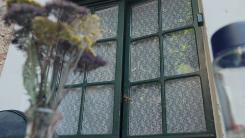 Green Paned Window with Lace Curtains and Dried Flowers, Rustic Facade Detail Stock Footage 340300764