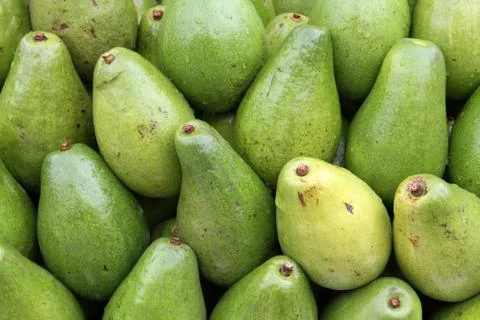 Green papaya Foto stock