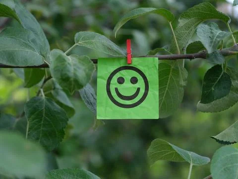A green paper note with a happy face on it attached to a tree branch with a c Stock Photos