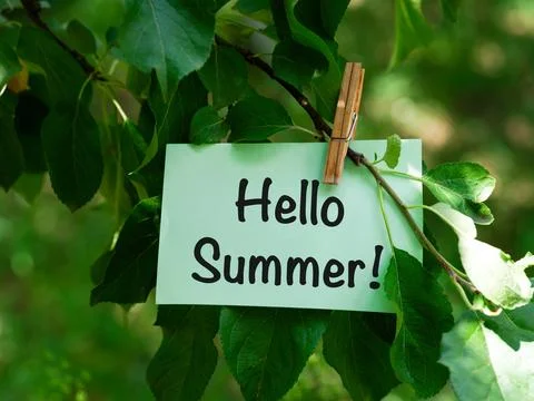 A green paper note with words Hello Summer! hanging on a tree branch. Stock Photos