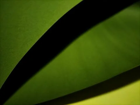 Green paper  Stock Photos