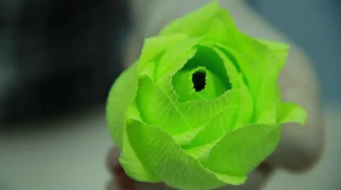 Green paper rose in the hand 스톡 동영상 49761506