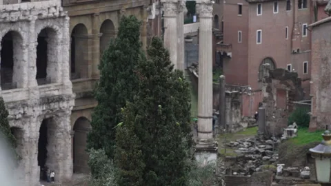 Green Parakeets in Cypress Trees Above Roman Ruins Видео 345621682