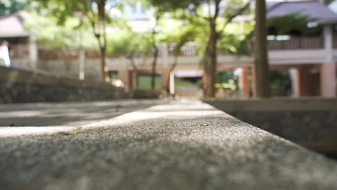 Green park area with trees Video stock 121089949