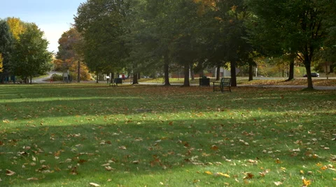 Green Park in Autumn. Stock Footage 68752137