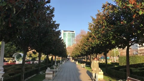 Green park in the city Stock Footage 146098679