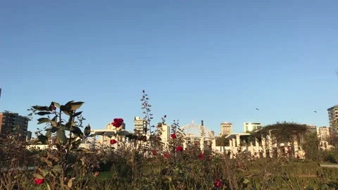 Green park in the city Stock Footage 146099487