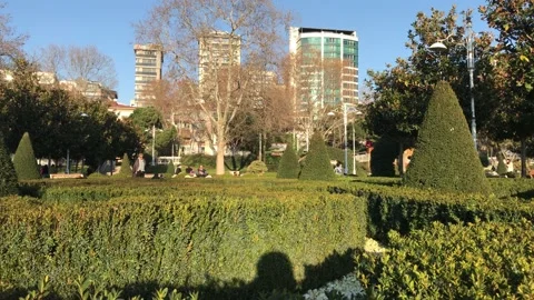 Green park in the city Stock Footage 146099544
