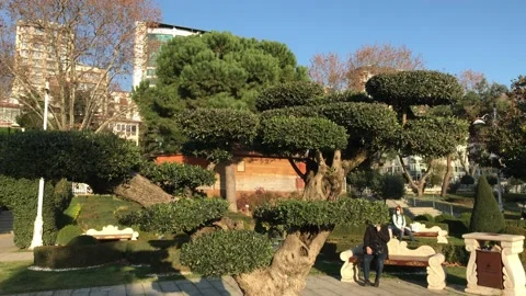 Green park in the city Stock Footage 146099705