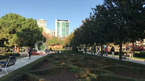 Green park in the city Video stock 146100355
