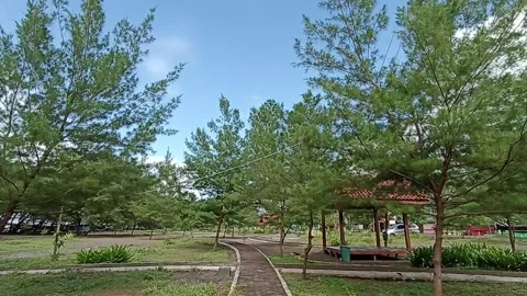 Green park in city Stock Footage 237296796