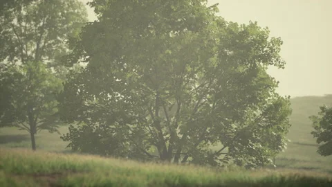Green Park in City at Sunset Stock Footage 229463575