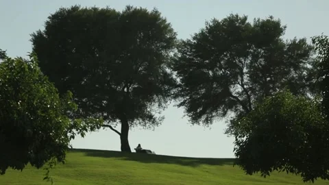 Green Park in Doha, Qatar. Video stock 130879425
