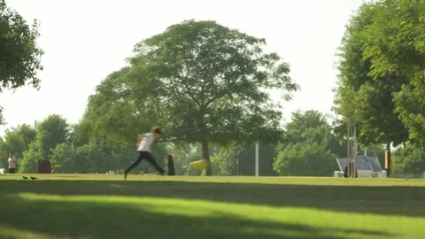 Green Park in Doha, Qatar. Video stock 130879459