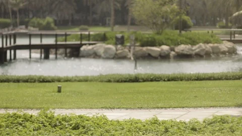 Green Park In Dubai 動画素材 116249023