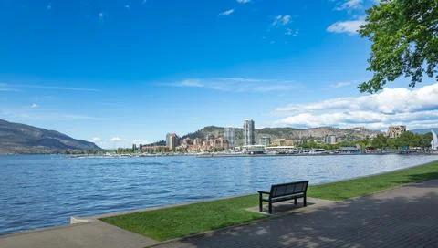Green park with an empty bench by the lake. A view of the Kelowna Skyline and Foto stock