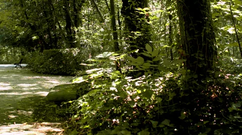 Green Park Stock Footage 39821984