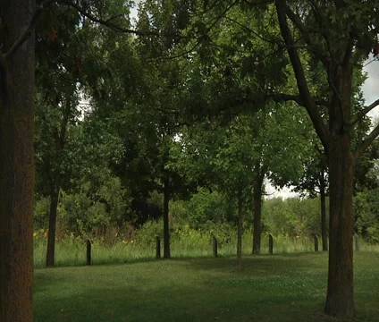 Green park Stock Footage 55300480