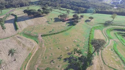 Green park Stock Footage 106851448