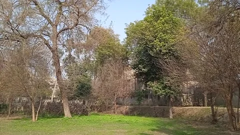 Green park Video stock 149215080