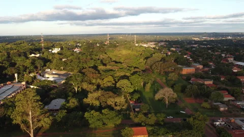 From a Green park Stock Footage 155749873