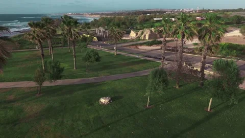 Green Park Stock Footage 305335831