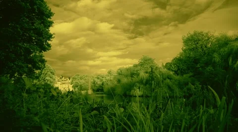 Green park infrared Stock-Footage 42797612