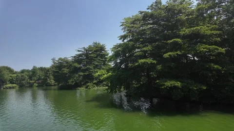 Green Park Lake with Reflected Trees in Guangzhou – 4K UHD Video Video stock 315848111