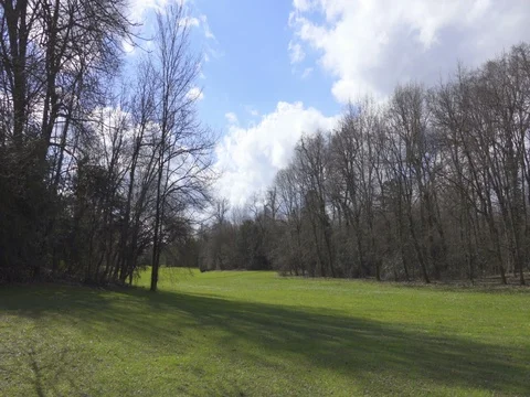 Green Park Landscape, Day Vídeo Stock 73553164