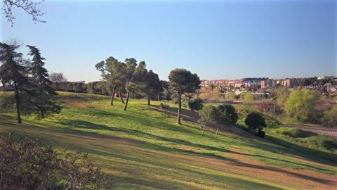 Green Park Landscape with Trees and City View in Madrid Video stock 306081952