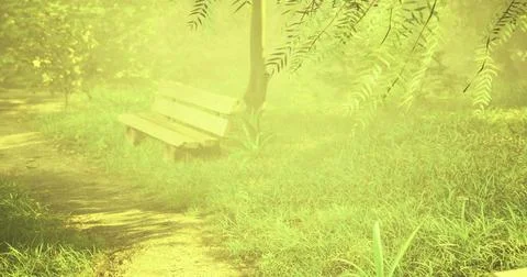 Green park path with bench surrounded by trees and misty atmosphere Ilustración de archivo