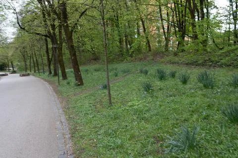 Green Park Path Foto stock