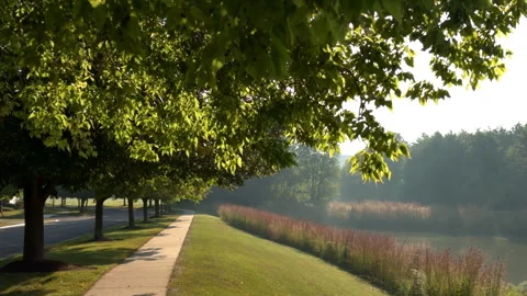 Green park path under the crown of trees... | Stock Video | Pond5