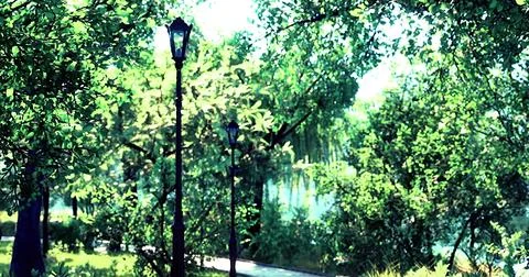 Green park pathway with lampposts surrounded by lush trees Stock Illustration