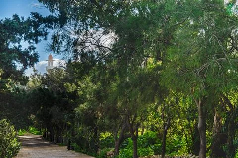 Green Park Pathway with Mosque in the Background Stock Photos