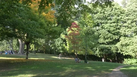 Green Park With People During Fall. Still shot. Stock Footage 140153554