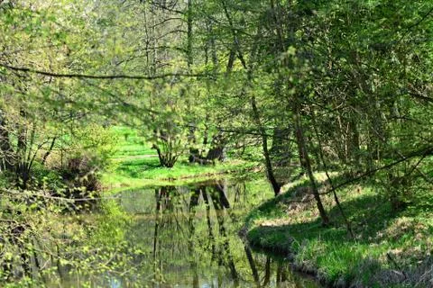 Green park 写真素材