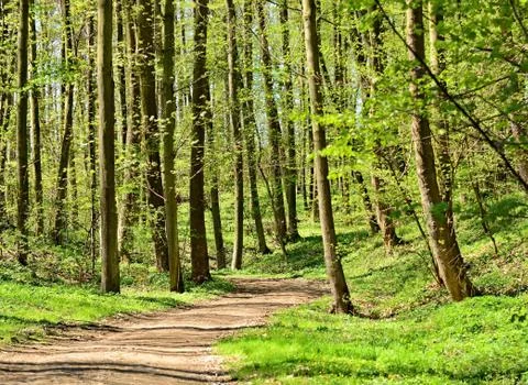 Green park Stockfoto's