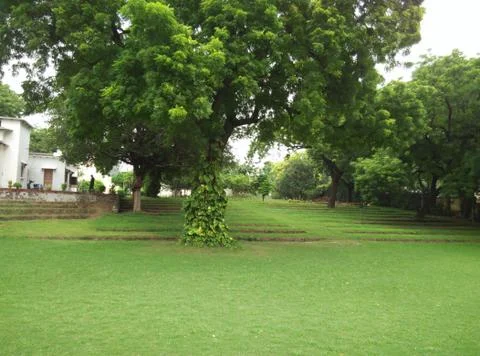 A green park Stock Photos