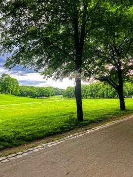 Green Park 库存照片