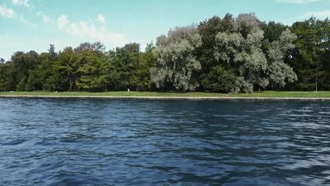 Green Park By The River Is In Motion Video stock 330520632