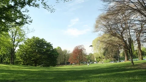 Green Park Scene Stock Footage 93781773
