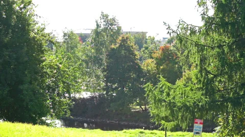 Green park with small river Video stock 30595420