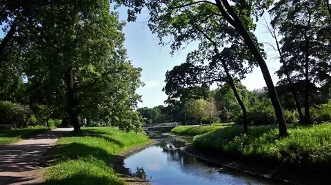 Green park with small river Stock Footage 45203462
